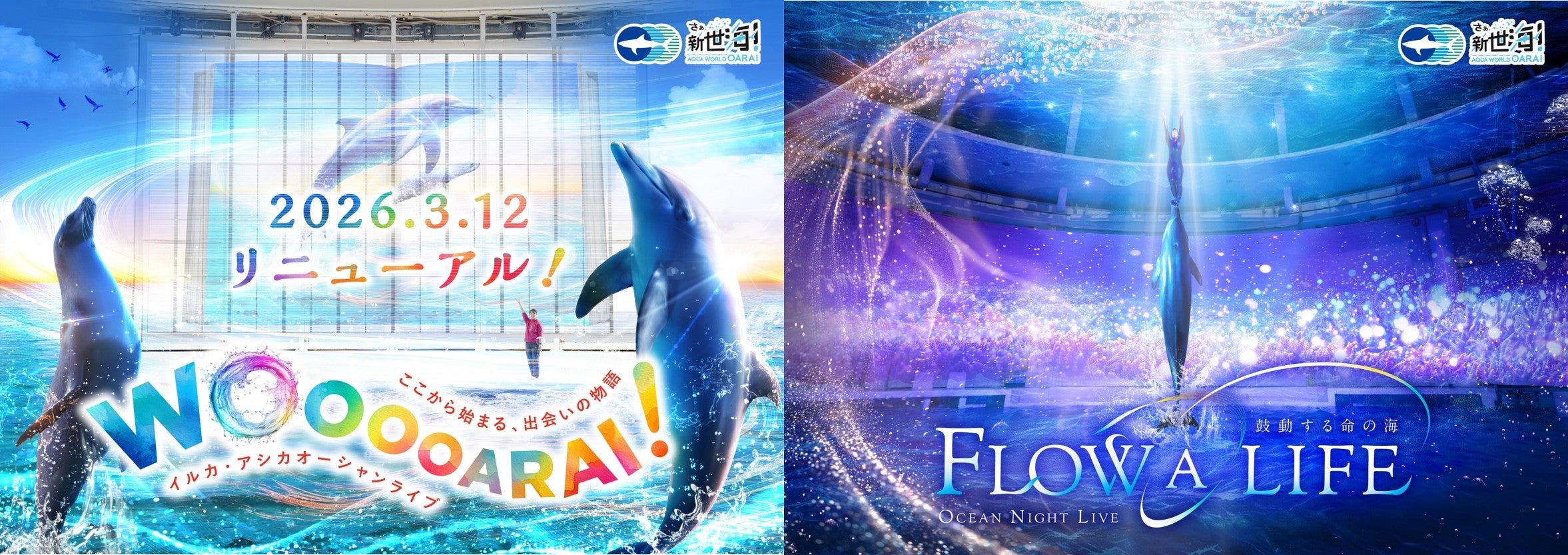アクアワールド茨城県大洗水族館 | イルカ・アシカオーシャンライブが